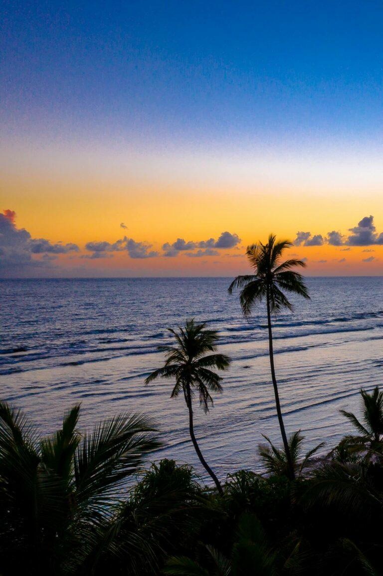 luxury maui rehab center - Maui Recovery