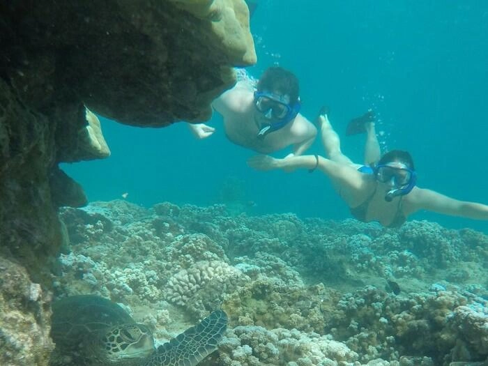 Adventure Pics - Maui Recovery