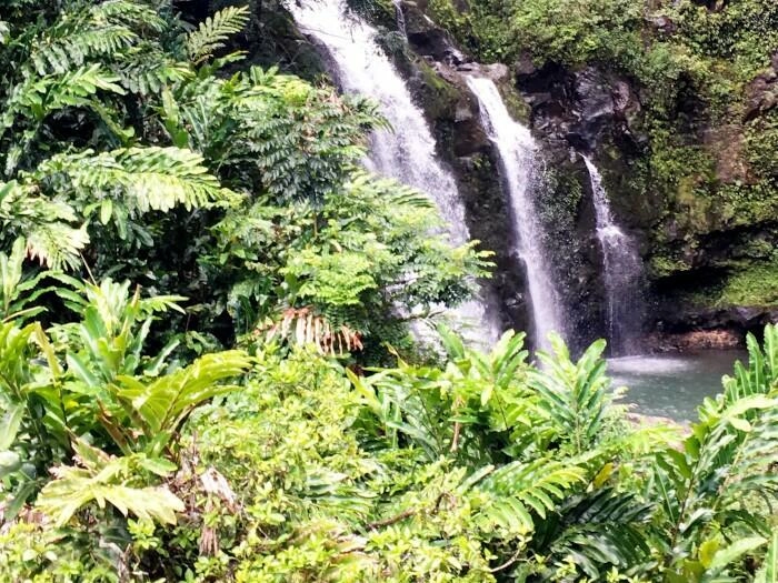 Adventure Pics - Maui Recovery