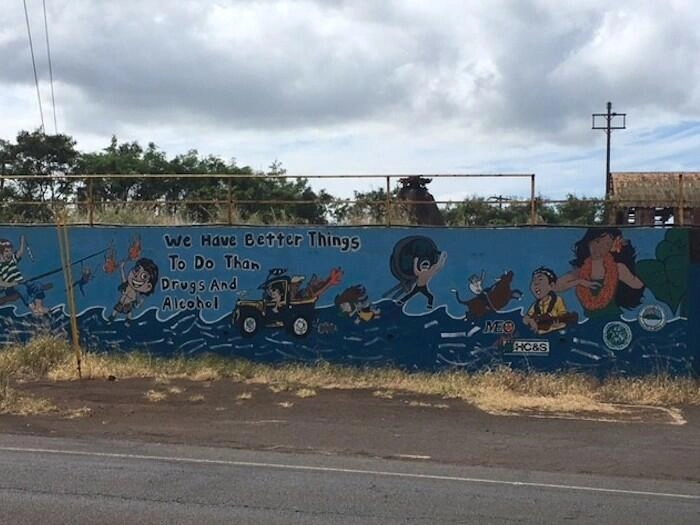 Adventure Pics - Maui Recovery