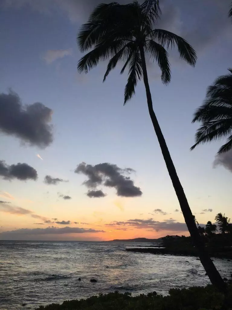 drug rehab in hawaii - Maui Recovery