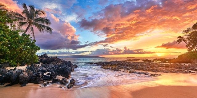 MauiStaffpage x - Maui Recovery