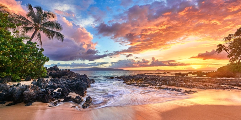 MauiStaffpage - Maui Recovery