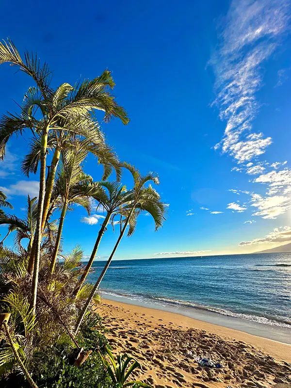 View of a beach in Hawaii, the state where our behavioral addiction treatment center is located.